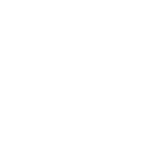 Palo Alto