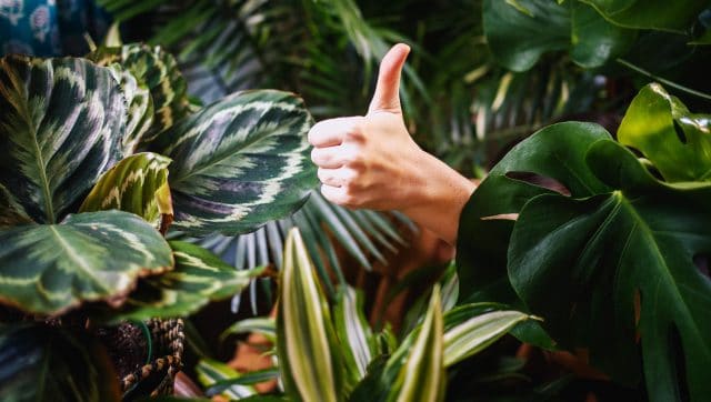 WFH: Lessons Learned and Tips to Take Forward