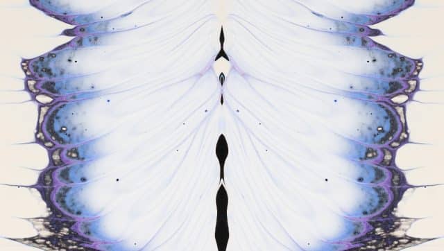 Meet Four Wings: Our Agency for Growing Businesses and Early-Stage Brands