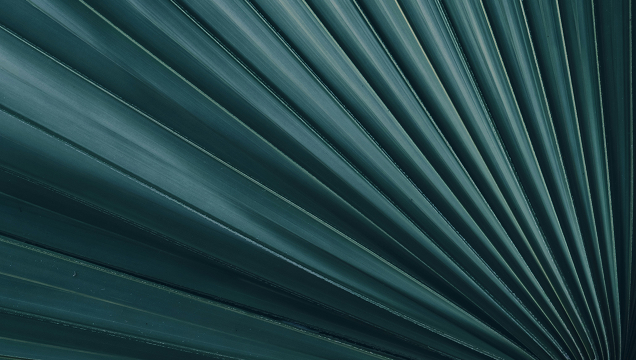 The True Cost of Skipping the Business Case